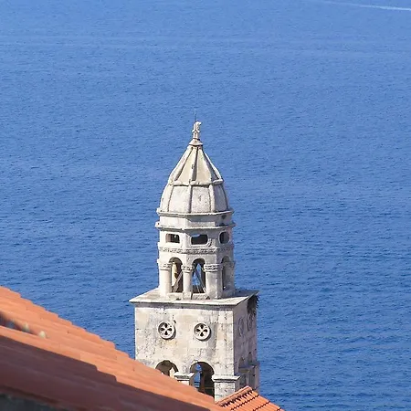 Palma Daire